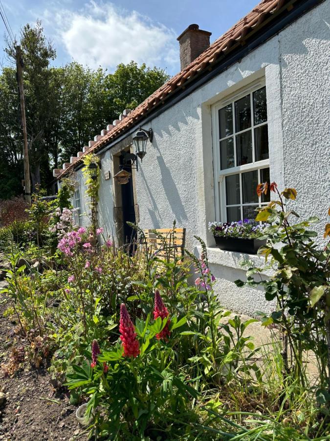 Borthwick Farm Cottage Annex غوربرِدج المظهر الخارجي الصورة